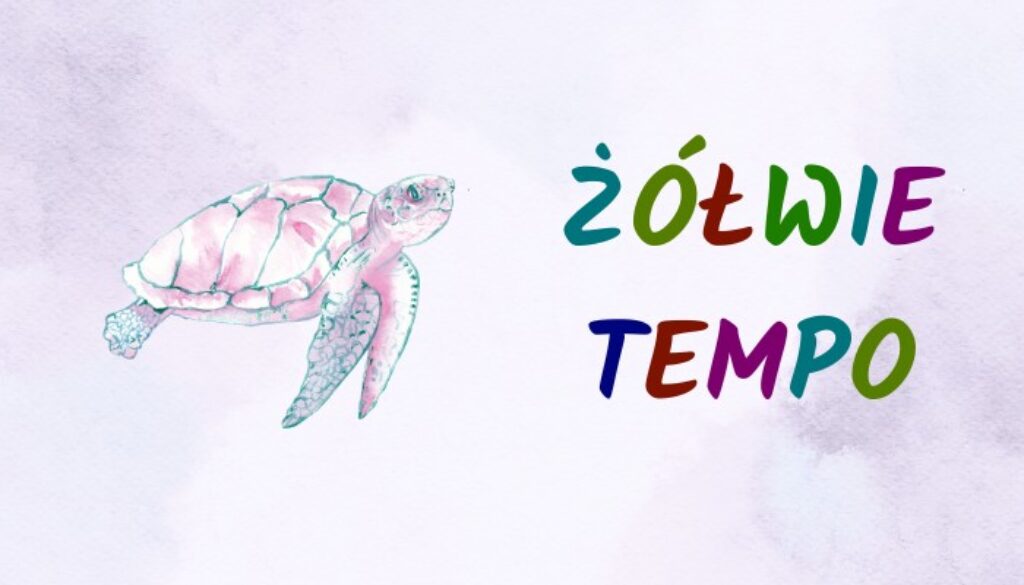 żółw