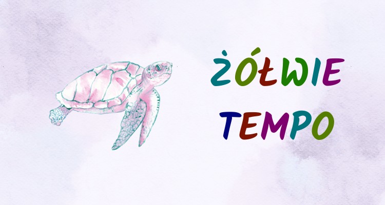 żółw żółw