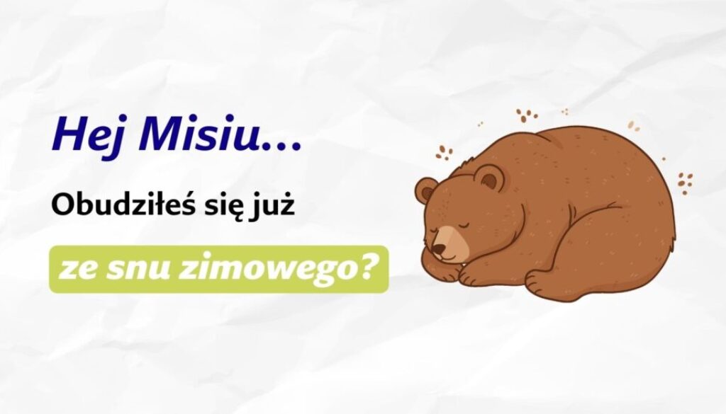 miś